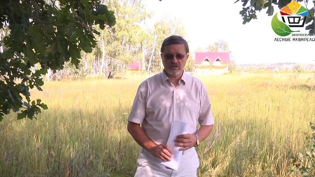 Поселок Лесные Акварели - одно из самых экологически чистых мест Ульяновской области