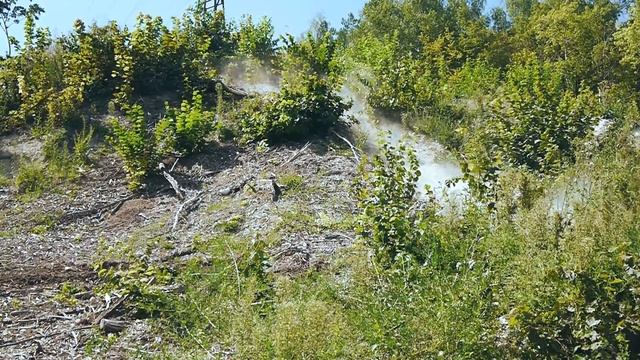 downhill Жигулевск | 2016 смотреть онлайн