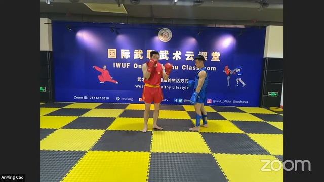 Wushu Sanda Basic Techniques & Their Application in Actual Combat - 3 смотреть онлайн