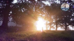 Возраст душ - Старая душа. Подробное руководство по старым душам.