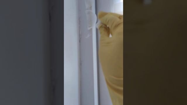 Как очистить пластиковую дверь от загрязнений смотреть онлайн