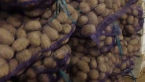 2  Отборный картофель в сетках