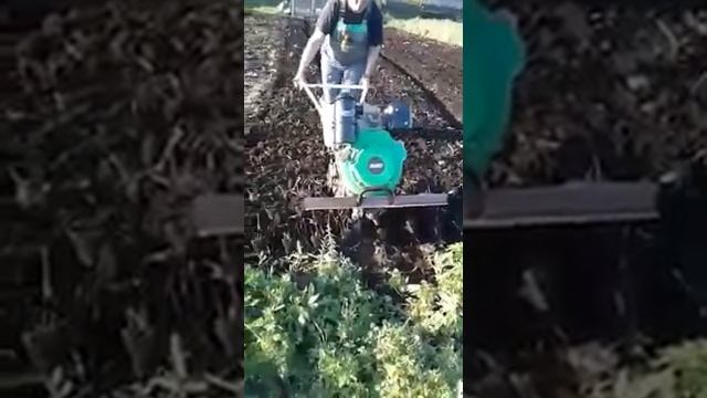 Мотоблок Варяг (культивация)