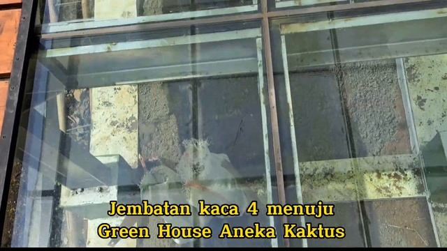 BARU : Taman Botani Baturaden, PURWOKERTO, CENTRAL JAVA, INDONESIA (Liburan Keluarga) смотреть онлайн