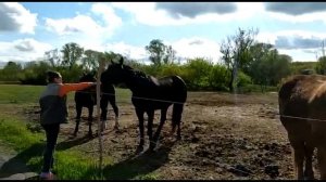 Лиски! Воронежская область!!! Природа, отдых на природе, красивые места!!!