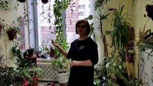 Интерактивное пространство "Юный эколог" в ДОУ