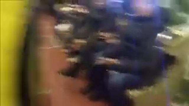 Поездка На Новогодном Поезде Ёж 3 81-707 По Ткл Пушкинская - Полежаевская // 01 Января 2020 смотреть онлайн