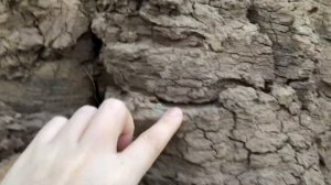 Добыча глины Милка/Clay Milka