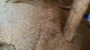 Экструдер часть 2. Реальный отзыв #11