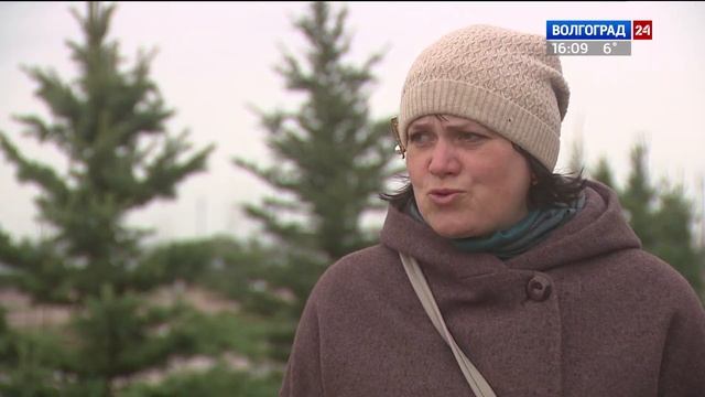 На Центральной набережной высадили голубые ели смотреть онлайн