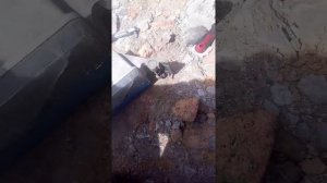 замена противотуманной фары Ман тга