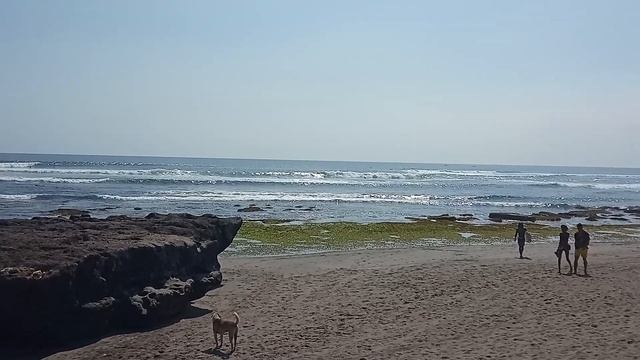 PANTAI BATU BOLONG CANGGU BALI// BEACH BALI // DENI OffICIAL.