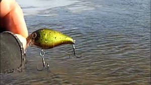 Воблеры крэнки TsuYoki испытание на реке .