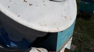 Двухматочное содержание!-расширяю вторыми корпусами!