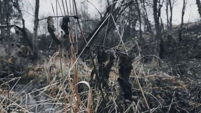 VID 20231115 151507 Кардиналу (Ришельё Франсуа Малеро)...Павел Васильев Лахтинский