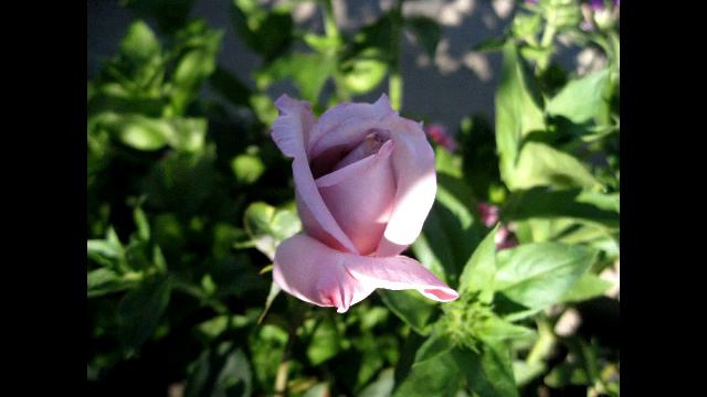 практика принятия и любви к себе смотреть онлайн