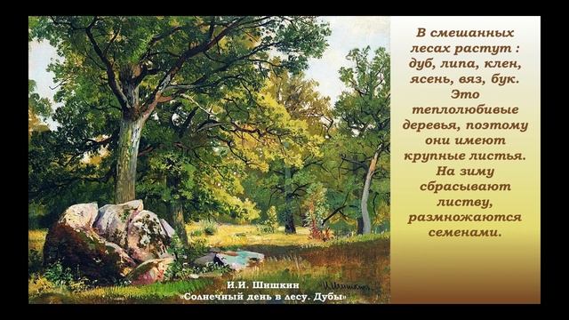 Природные зоны России. Леса.