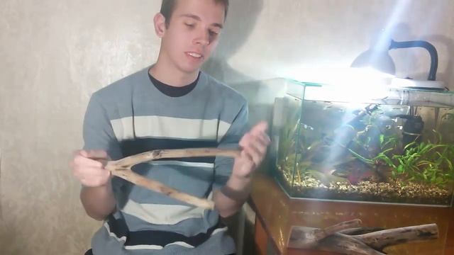 Аквариумная коряга (Как варить корягу для аквариума) смотреть онлайн