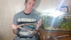 Аквариумная коряга (Как варить корягу для аквариума)