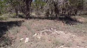 подарки мне и Казахстан, бывшая воинская часть 1 августа 2021 г.