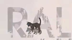 Коты воители Бич и Уголёк Ламбада (для Киття кв)