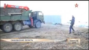 Как плачет касатка | Спасение касатки зажатой во льдах.