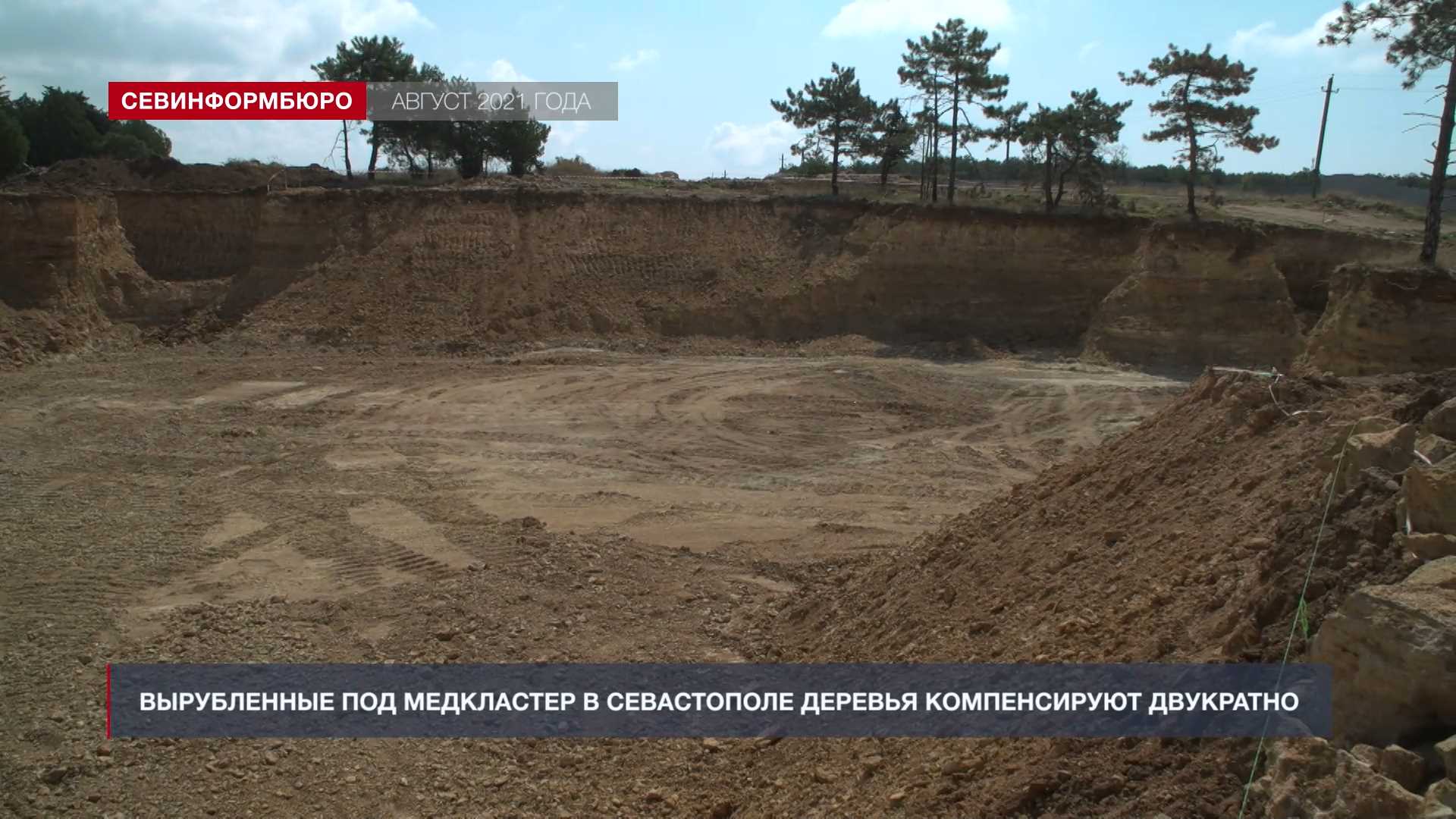 Вырубленные под медкластер в Севастополе деревья компенсируют двукратно