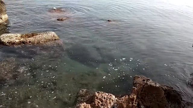 Чуть не штрафанули. Купание на карантине в Турции. смотреть онлайн