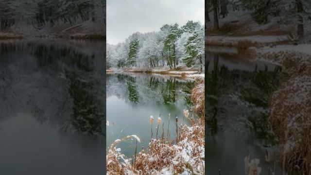 Стихотворение Среда сегодня на дворе