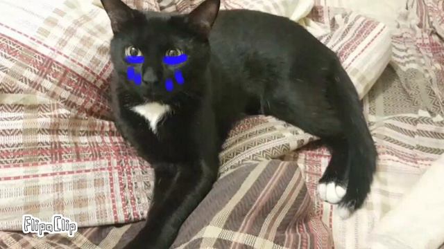 Горелый КВ??!!!!??!? 《Время нас не лечит》 смотреть онлайн