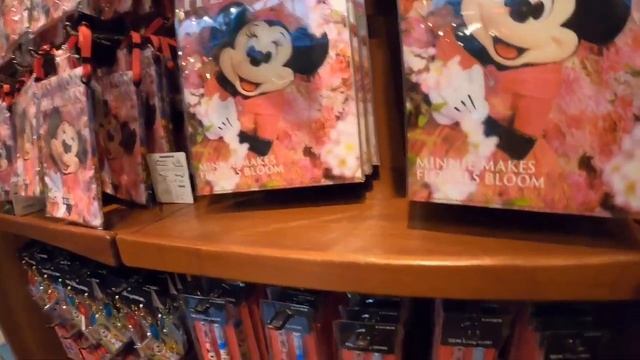 Tokyo Disneyland Merch Overview 2021