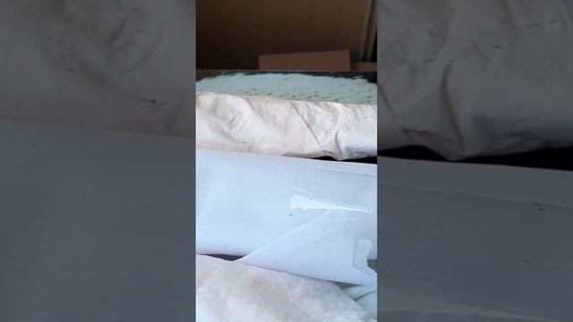 САНСЕВИЕРИЯ ДОМА!!! 06.01.2023. смотреть онлайн