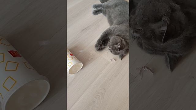 попей воды одно название обманула но хоть с трубочкой поиграем смотреть онлайн