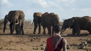 Спасаем Исчезающих Животных от Вымирания