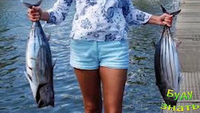 Тунец - толи МЯСО? толи РЫБА? смотреть онлайн