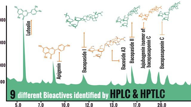 Why is BacoMind® the world's best Bacopa for brain health? смотреть онлайн