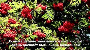 Народные осенние приметы