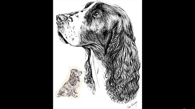 Рисунок бакс смотреть онлайн