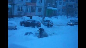 Автолюбитель 10 Часов откапывал свою машину из сугроба