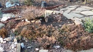АЛЬПИЙСКАЯ горка! ЗИМОЙ и ЛЕТОМ - не одним цветом!