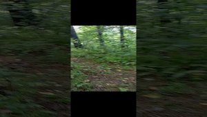 1000005621.mp4 ловля в забытых болотах на Китайские 🇨🇳 Верши ,мордушки,жаки