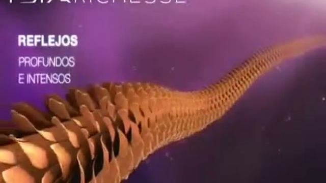 DIA Light & DIA Richesse смотреть онлайн