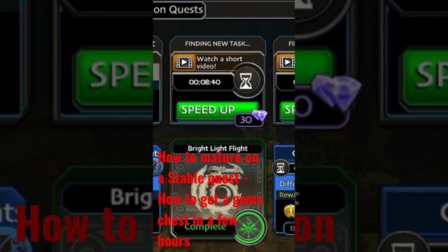 School of Dragons: How to mature on Stable quest - Gems Chest Bright Flight