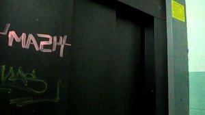 Электрический лифт V=0,71 м-с, грузоподъемность 320 кг (589)