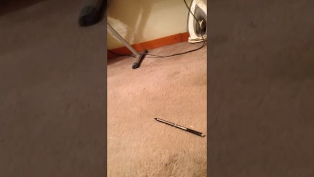 Передвижение карандаша силой мысли смотреть онлайн