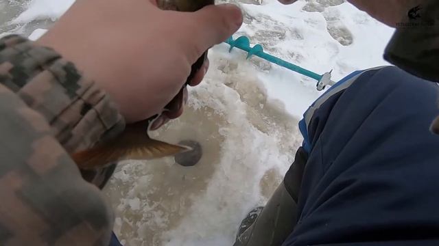 Рыбалка на МОРМЫШКУ на Малой Реке | Рыбалка зимой в Архангельской Области смотреть онлайн