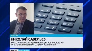 В озере Неро дохнет рыба