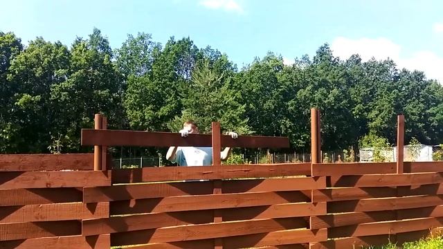 Забор австрийская плетенка