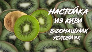 Настойка из киви в домашних условиях. Рецепт