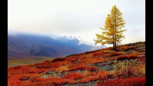 Любэ. 
Там за туманами.